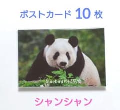 ポストカード10枚 シャンシャン 大熊猫 香香 パンダ 上野動物園