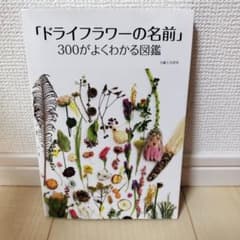 「ドライフラワーの名前」300がよくわかる図鑑のサムネイル