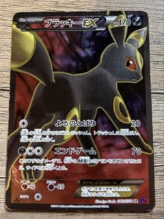 タ*シ様 ブラッキーEX SR XY10 めざめる超王 タ*シ様 ブラッキーEX SR XY10 めざめる超王 - メルカリ