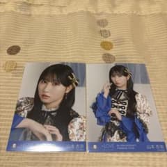 山本杏奈のサムネイル