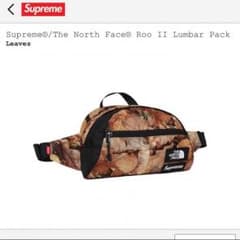 supreme the north face WAISTBAG ROO Ⅱのサムネイル