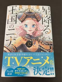 星降る王国のニナ 全12巻セットのサムネイル