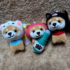 m81218656396_1.jpg?1734959877