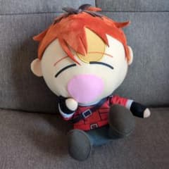 ぬいぐるみ 眠り顔 赤髪 キャラクターのサムネイル