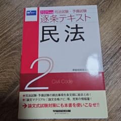 2025年版 司法試験・予備試験 逐条テキスト 民法2のサムネイル