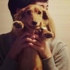 確認用2のサムネイル