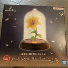 一番くじ ディズニープリンセス ラプンツェル ラストワン賞 魔法