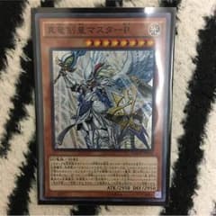 真竜剣皇マスターPのサムネイル