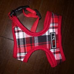 子犬用ハーネス　xsのサムネイル