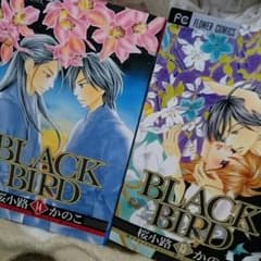 BLACK　BIRDの、14.15巻です！のサムネイル