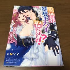カーちんさん専用　　異世界の暴君王子に娶られそうですのサムネイル