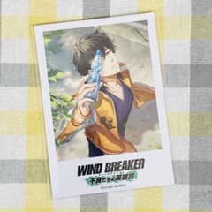 WIND BREAKER ウィンブレ ウィンヒロ 十亀条 ポラロイドカード - メルカリ