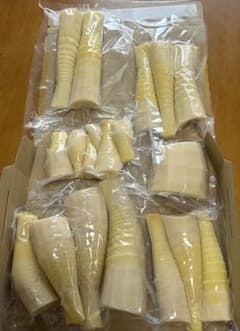 京都山城産　朝掘り筍のサムネイル