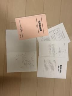 駿台 電磁気特講 2025 夏期　入江先生板書、プリント付きのサムネイル