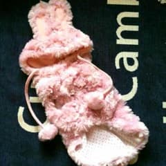 ウサちゃんに変身(〃´ x ｀ 〃)のサムネイル
