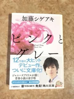 【美品&初版】ピンクとグレーのサムネイル