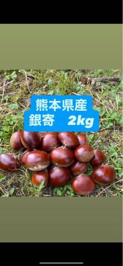 熊本県産　生栗　2kgのサムネイル