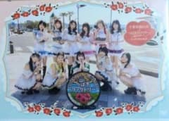 つばきファクトリー 千葉県館山市 キャメリア館山物語 DVD 写真付き つばきファクトリー FCツアー DVD 千葉県館山市 - メルカリ