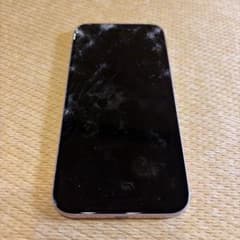 iPhone 15 Plus ジャンク 通電OK 画面・カメラ不良 iPhone 15 Plus ジャンク 通電OK 画面・カメラ不良 - メルカリ
