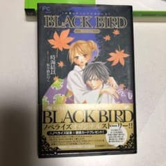 Black bird : Missing : 小説オリジナルストーリーのサムネイル