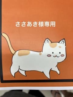 ファイテン赤Tささあき様専用のサムネイル