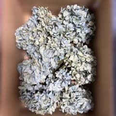 1 北海道紫陽花青色系ドライフラワー80サイズ - メルカリ
