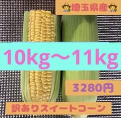 ★本日７月4日朝採り★埼玉県産★ ゴールドラッシュ訳あり品１０キロのサムネイル