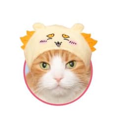 ちいかわ　ねこのかぶりもの　シーサー　猫グッズのサムネイル