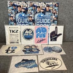 【配布終了・レア】埼玉西武ライオンズ　アオフェス　グッズステッカー2026 9枚のサムネイル