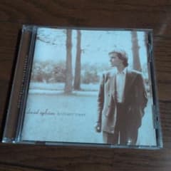 【リマスター】David Sylvian Brilliant Trees cdのサムネイル