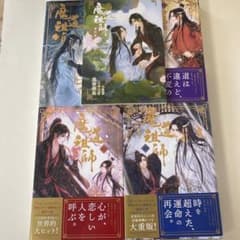 全巻セット 魔道祖師 小説 日本語 - メルカリ