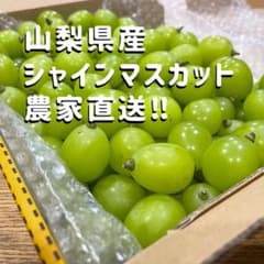 1- 222 農家直送 山梨県産 シャインマスカット 1キロ