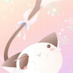 専用のサムネイル
