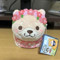 ☆匿名配送☆ 忠犬もちしば 春が来たよぬいぐるみ さくら