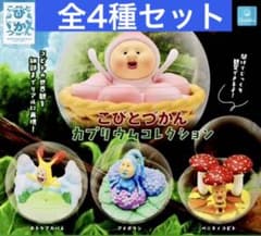 코비토즈칸 카푸리움 컬렉션 전 4종 세트