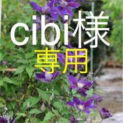 ポラロイド フィルムのサムネイル