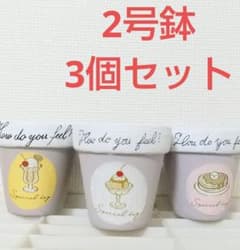 婆ちゃんのリメイク鉢『喫茶』2号鉢 3個セット - メルカリ