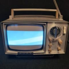 m81351025300_1.jpg?1732716432