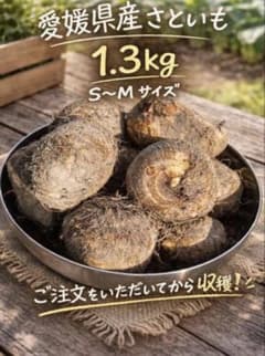 pucchichan様専用のサムネイル