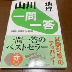 山川 一問一答 地理 2019年　第1版第6刷　赤シート付のサムネイル