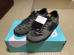 ナイキSB ZOOM DUNK LOWのサムネイル