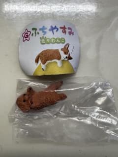 ふちやすみ 色々わんこ トイプードルのサムネイル