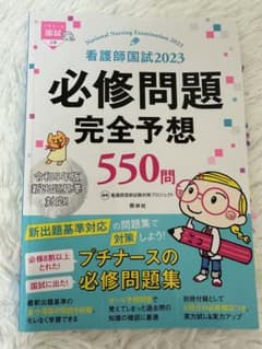 看護師国試必修問題完全予想550問 2023のサムネイル