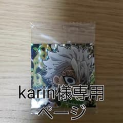 karin様専用ページのサムネイル