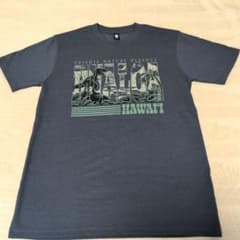 【未使用・ハワイ現地購入】KUALOA RANCH クアロアランチ Tシャツ Sのサムネイル