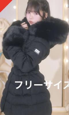 お値下げミシェルマカロン ALINE ダウンコート - メルカリ