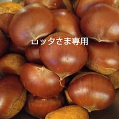ロッタさま専用　ご予約丹波栗　１kgのサムネイル