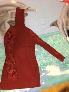 ハイネックトップス　秋冬　ボルドー　刺繍　レースのサムネイル