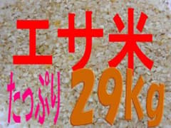 箱発送 約29Kg エサ米 野鳥などに くず米 種多 北海道/沖縄/離島不可のサムネイル