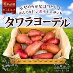 タワラヨーデル 希少品種　甘くて口当たりが滑らかなじゃがいも　1,200gのサムネイル